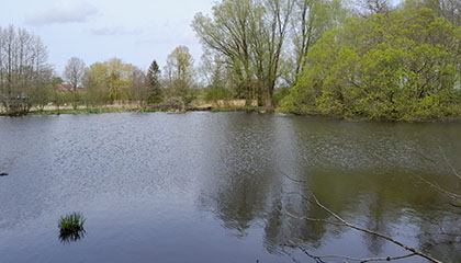Die Teichanlage im Frühling