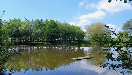 Blick auf den Angelteich